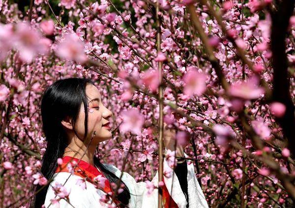 偶游四川五华山，误入桃花缘，88张图片，叫你挪不开你的眼