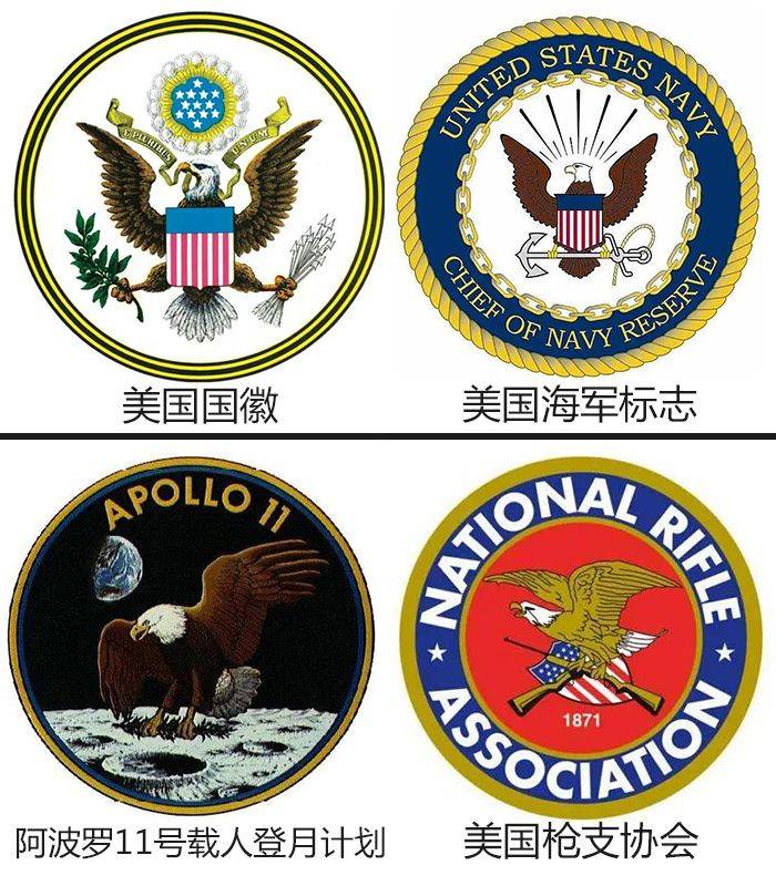 动物_食物链_国徽