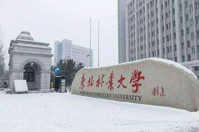 其中东北林业大学是教育部直属的211重点大学.