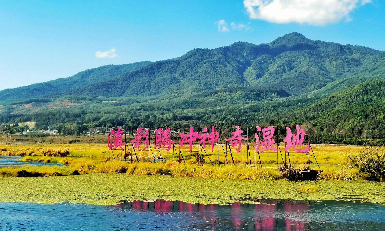 腾冲北海湿地确实奇异，水草根部交织长在一路，浮在水面好像草岛