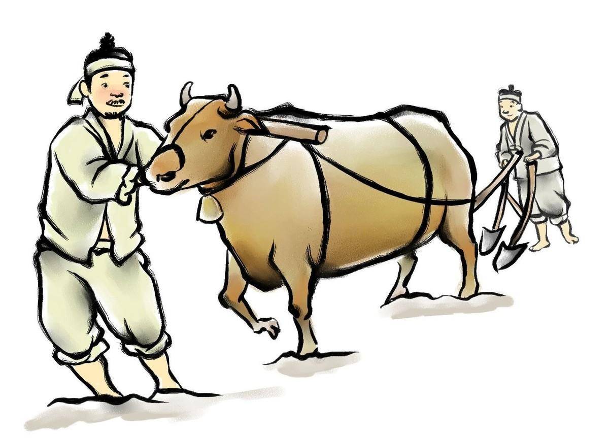 微微一笑,走下车来,冲捻军首领行礼:"大王莫怒,这些真的都是老农民