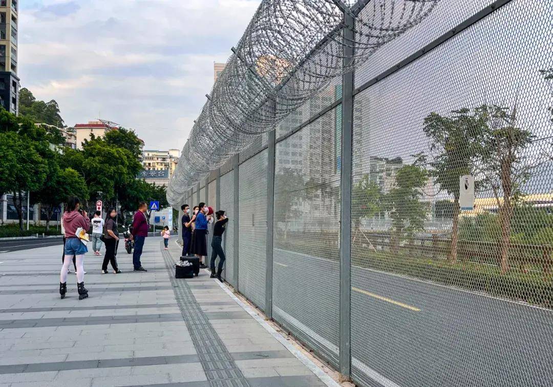 封关600天,他们在深港边境团聚,相隔97米_延芳_香港_铁丝