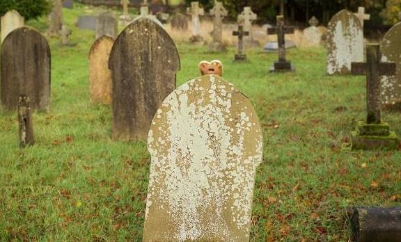 图刺激情侣墓地亲热,路人拍下上传网络,女子悲愤自杀孩子仅两月_海莉