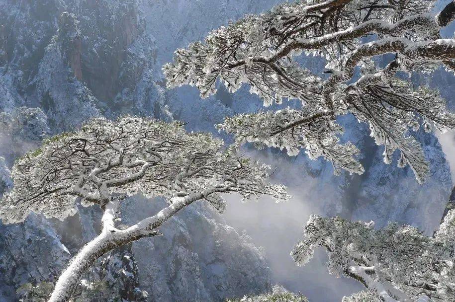 雪后黄山冰雪仙境图片