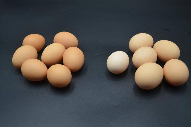 鸡蛋红壳好还是白壳好,真相让人大感意外_白壳蛋_时候_颜色