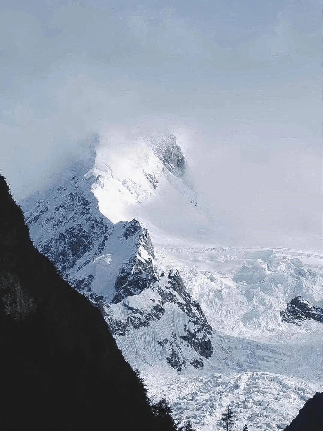 形成"头裹银帕,下着翠裙"的壮观景象仍能见到森林中部分植被郁郁葱葱