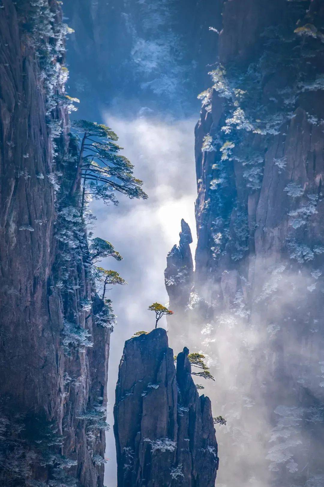 雪后黄山冰雪仙境图片