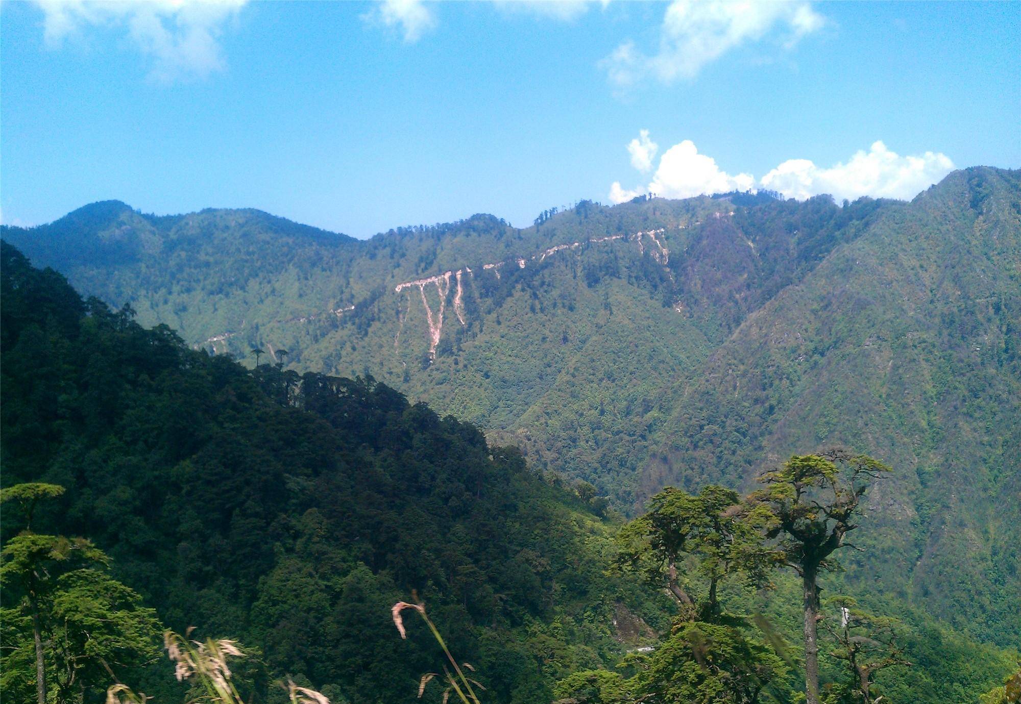 片马镇位于高黎贡山南部西坡,地表山峰林立,沟壑纵横