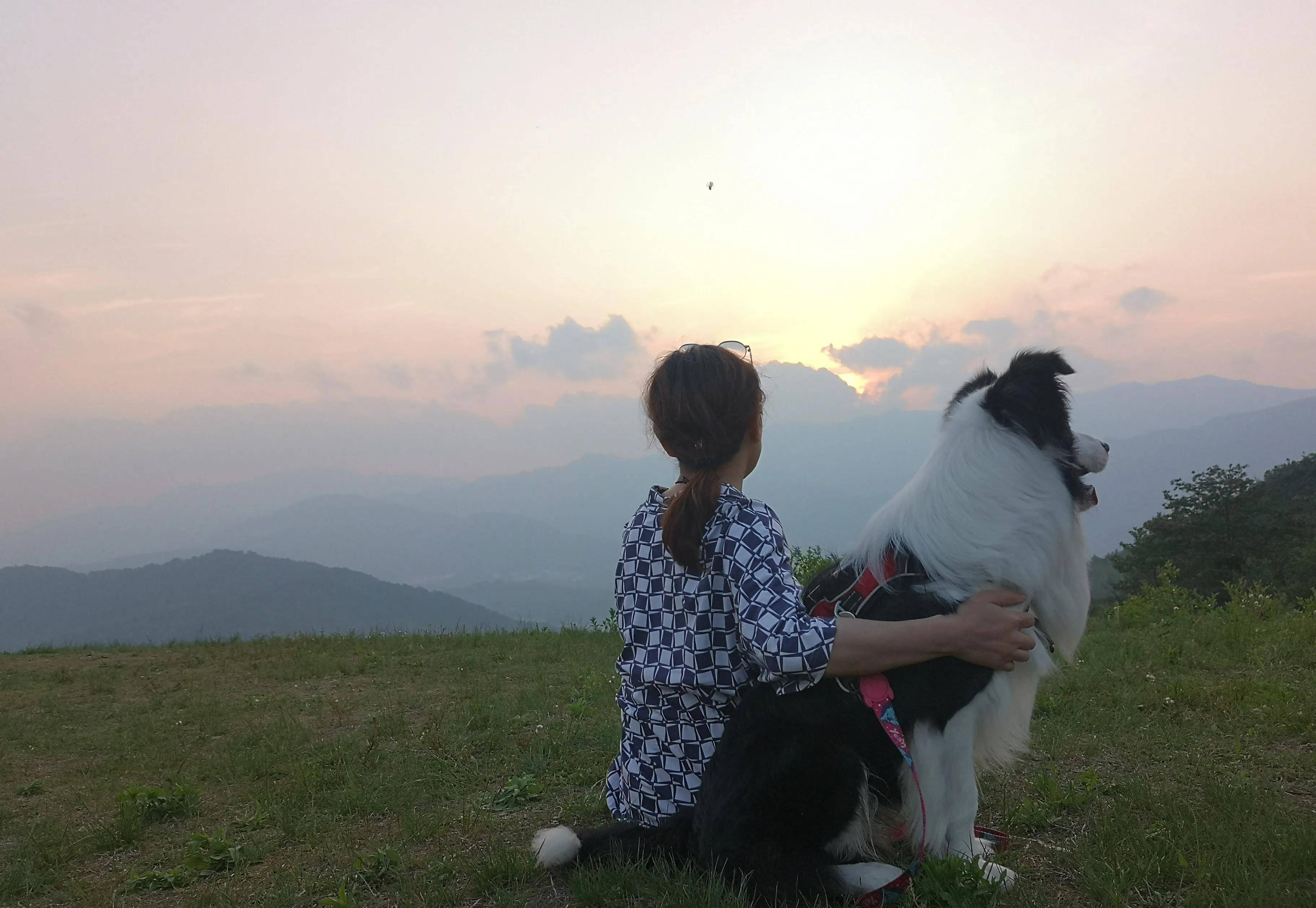 红杉林我与臭碗看日出女儿盘子和臭碗沐浴在夕阳余晖里穿越的女儿