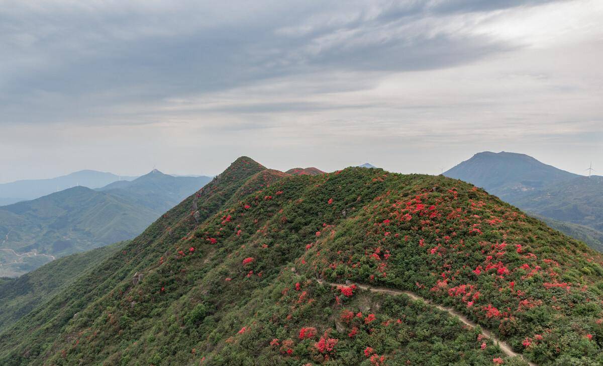 美丽的天堂山,将有一条新高速公路通过,未来常宁新4a景点首选