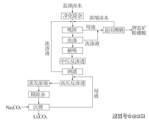 盐湖提锂原理图片