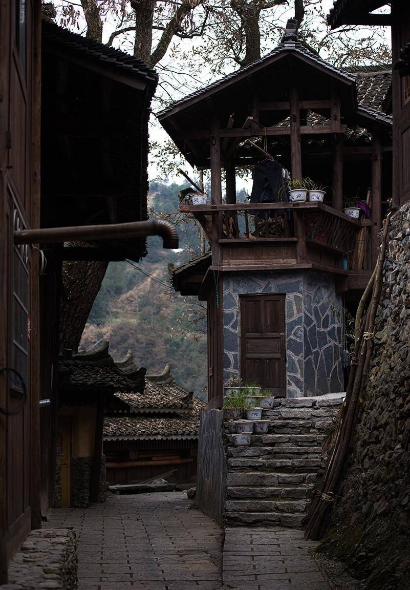 走进黔东南:雷山新桥苗寨,独特的水上粮仓_杉木_水塘_吊脚楼