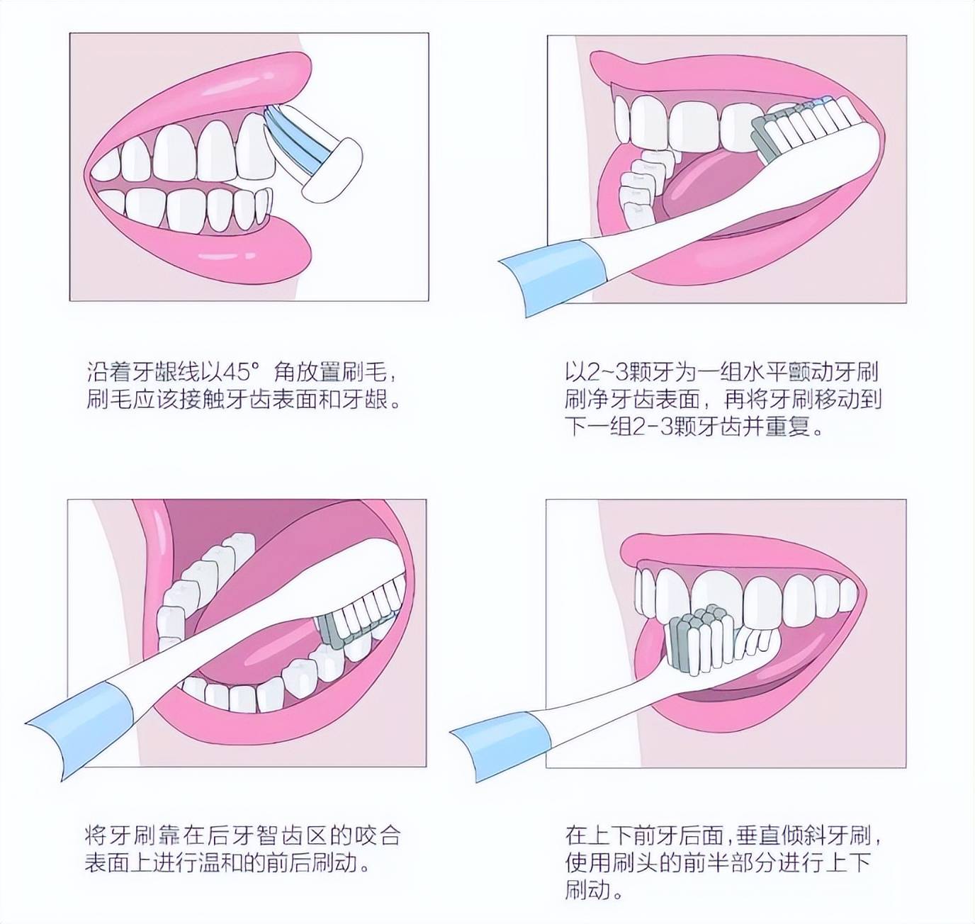 正确的刷牙方式|Illustration|Writing Exercises|刘玉美口腔插画_Original作品-站酷ZCOOL