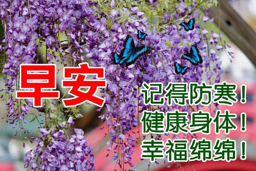 1月13日週五早上好,推薦早安群發暖心祝福圖片帶字帶問候語錄_平安