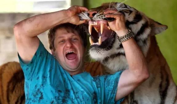 巴西富翁不忍马戏团老虎受虐,带回家当猫养疯狂互动照曝光_阿里_生活