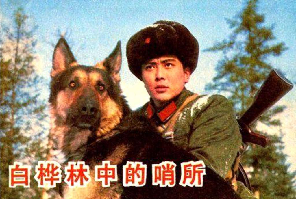 《白桦林中的哨所》由西安电影制片厂拍摄,姚守岗执导,卢君,韩月乔