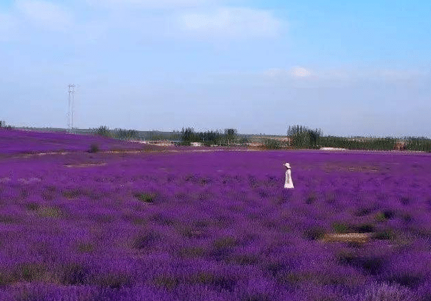 平湖【爱情花漫里_花漫里】售楼中心丨爱情花漫里欢迎您丨花漫里|楼盘