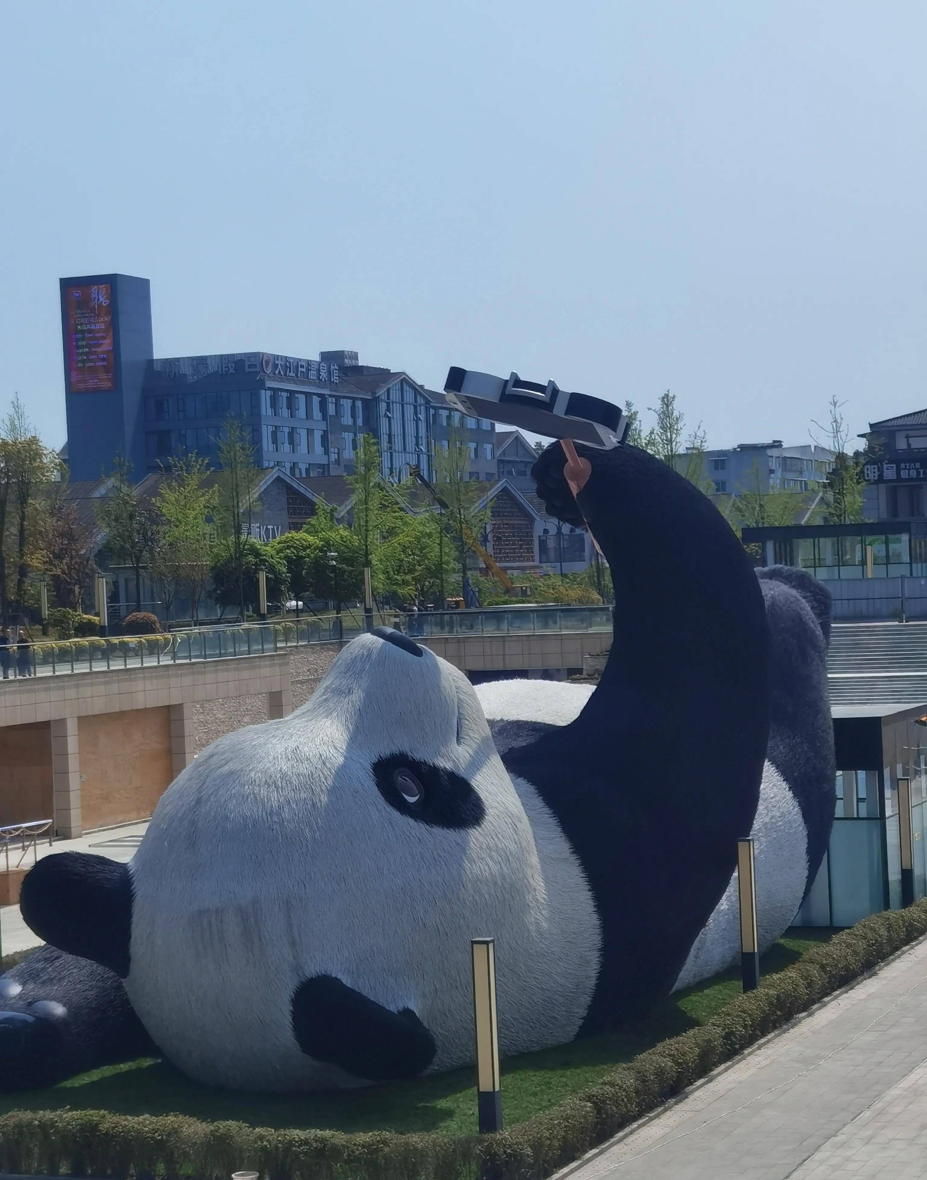 成都大熊猫广场图片