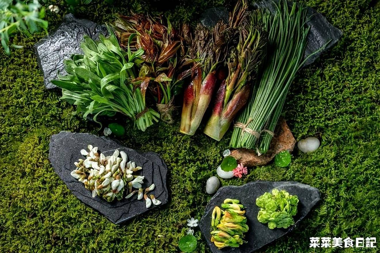 攒了半个春天,终于有底气掏出这份吃春指南!赶紧收藏_香椿_味道_槐花