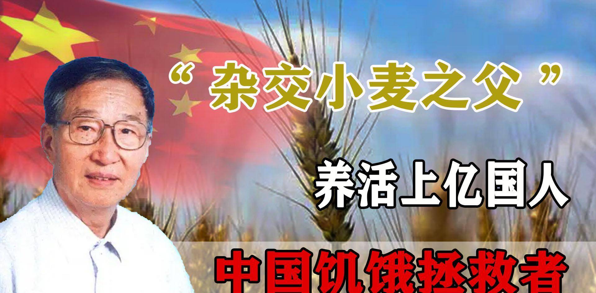 "杂交小麦之父"李振声:与袁老齐名,让小麦产量超越水稻_研究_农作物