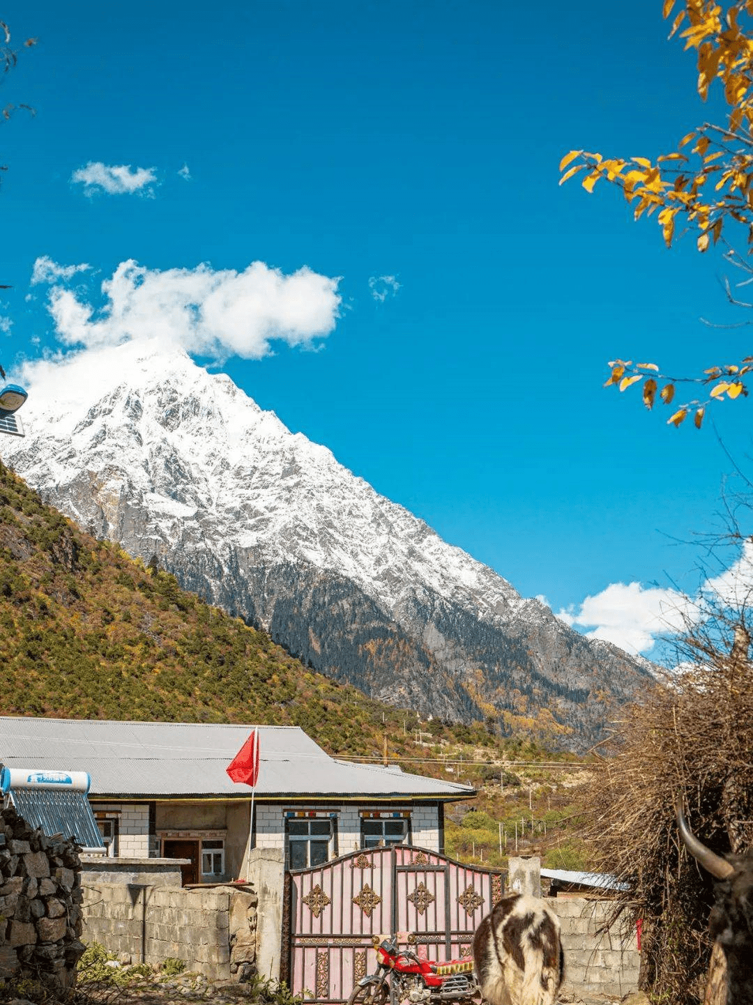 波密_村落_玉许乡