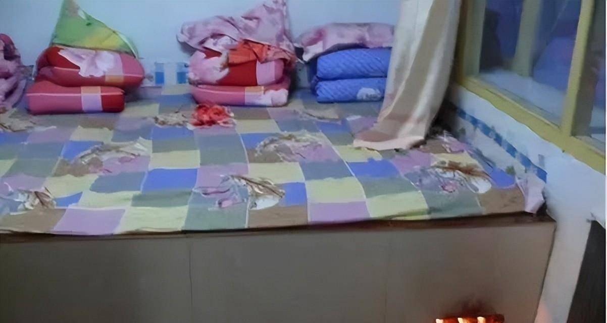 东北人告诉你_火炕_生活_农村