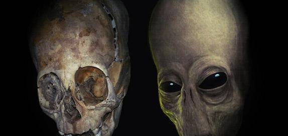 无一例外这些木乃伊鼻都有着细长的头骨,帕拉卡斯头骨被人们发现后便