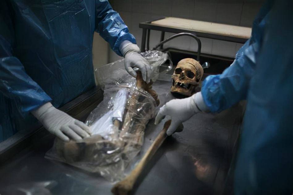 13年云南老农自首,指着樱桃树说有秘密,结果3个儿子被送进监狱_李朝阳