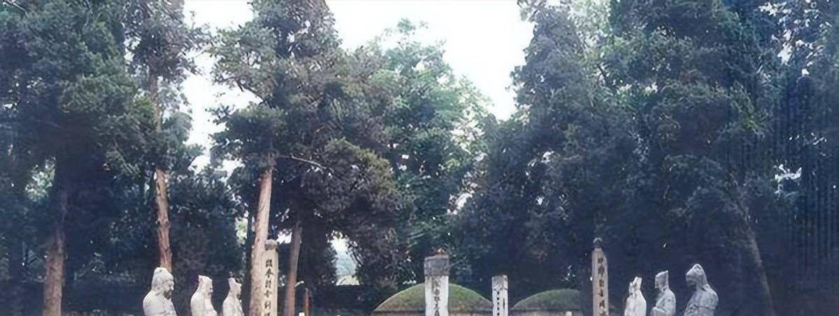 刘文彩的墓被称"独虎挂印,入土十年被掘墓,守墓人4天后去世_土地