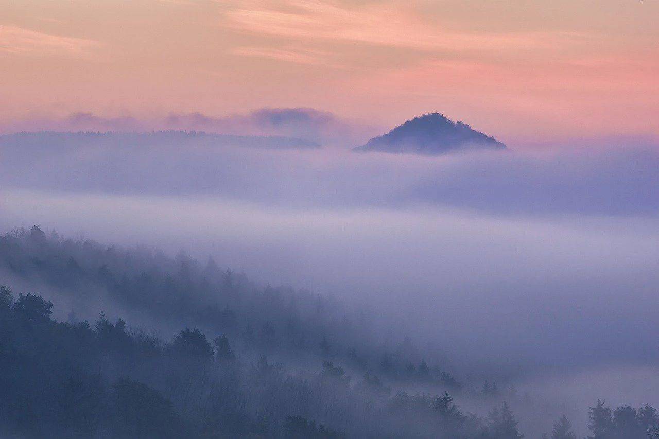 自称“年轻人喜欢的小家电” ,小熊电器却是图便宜人的菜-家电圈官网