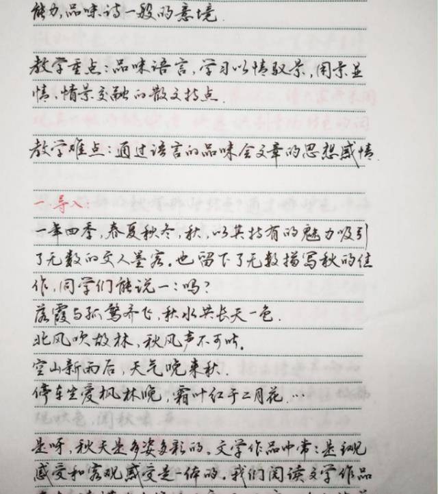 女教师批改作文走红，字体清秀宛如“印刷体”，家长看后啧啧赞叹