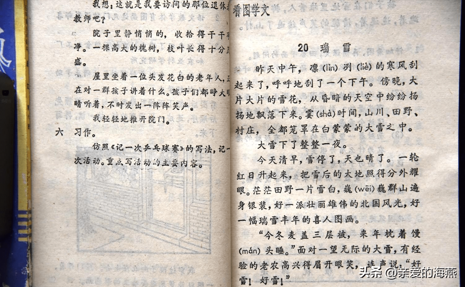 八十年代小学语文课本,学了三十年,课本里"寒号鸟"原来不是鸟_课文_小