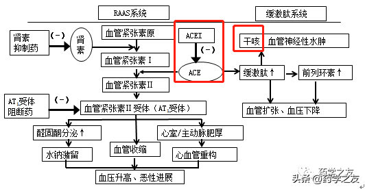 抗高血压药——acei(普利类)考点6 抗高血压药——分类及代表药物机制