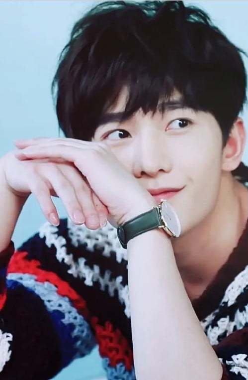 王鹤棣&amp;吴磊是霸气猴系,肖战&amp;杨洋是温柔清新兔系