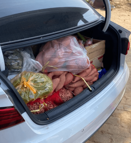 网友晒返程后备箱,南北差异巨大_父母_白菜_工作