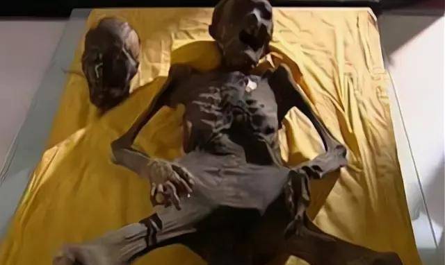 清朝古墓,女尸复活?_棺材_墓室_女主人