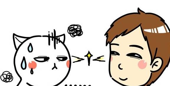原创
            流浪猫、受虐猫救助指南：如何判断、一些原理和实用方法3