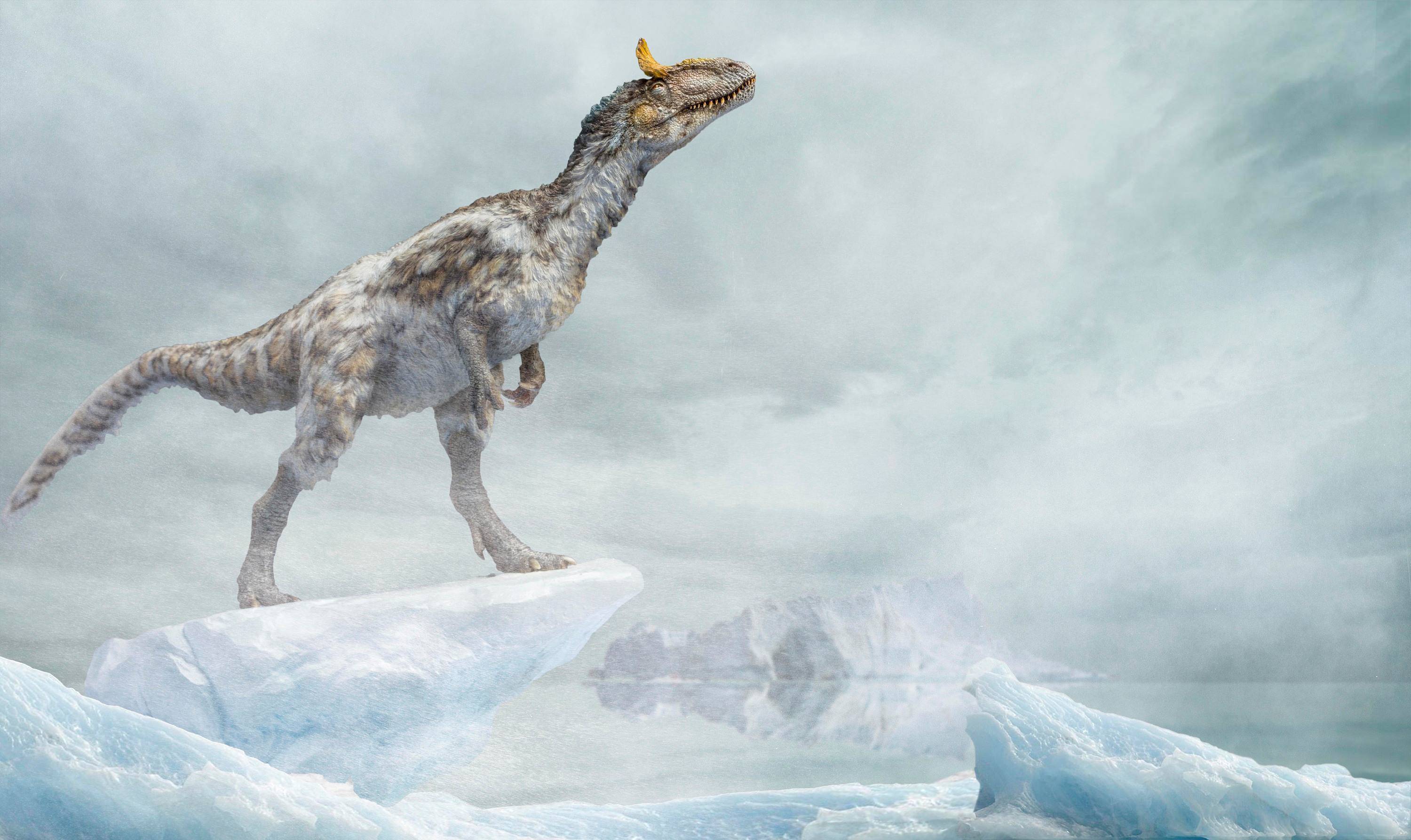 恐龙第一王朝三巨头之冰脊龙