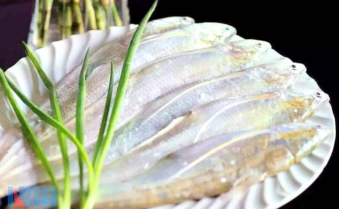 说说长江第一鲜的刀鱼-童年美食(108)_江阴_味道_筷子