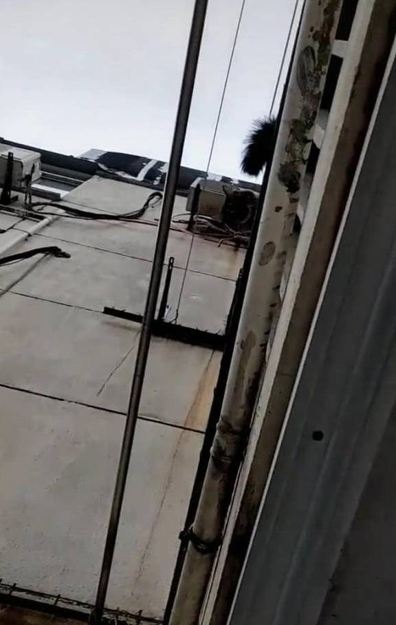 晒被子时发现楼上在滴水,女子正想上去理论,一抬头便被萌到了_晒衣服