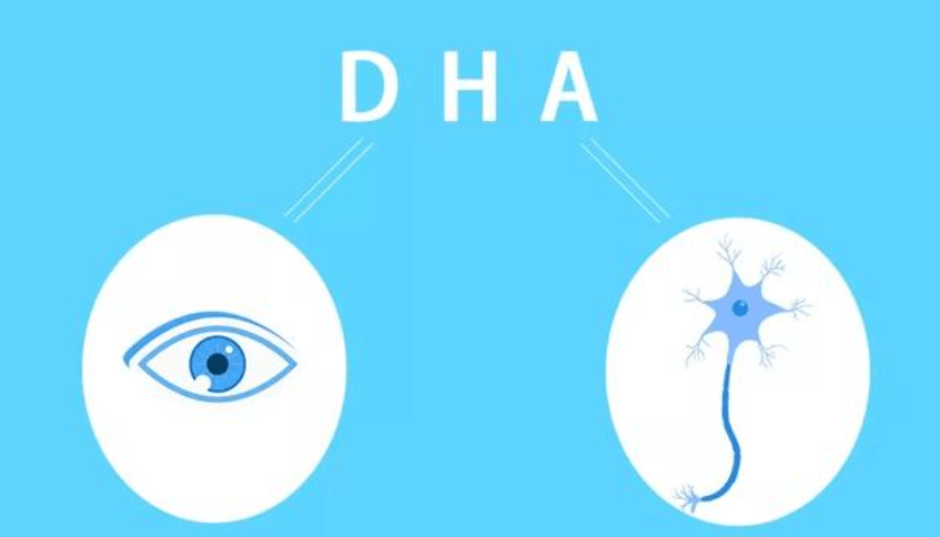 DHA哪个牌子好怎么选择适合的DHA产品