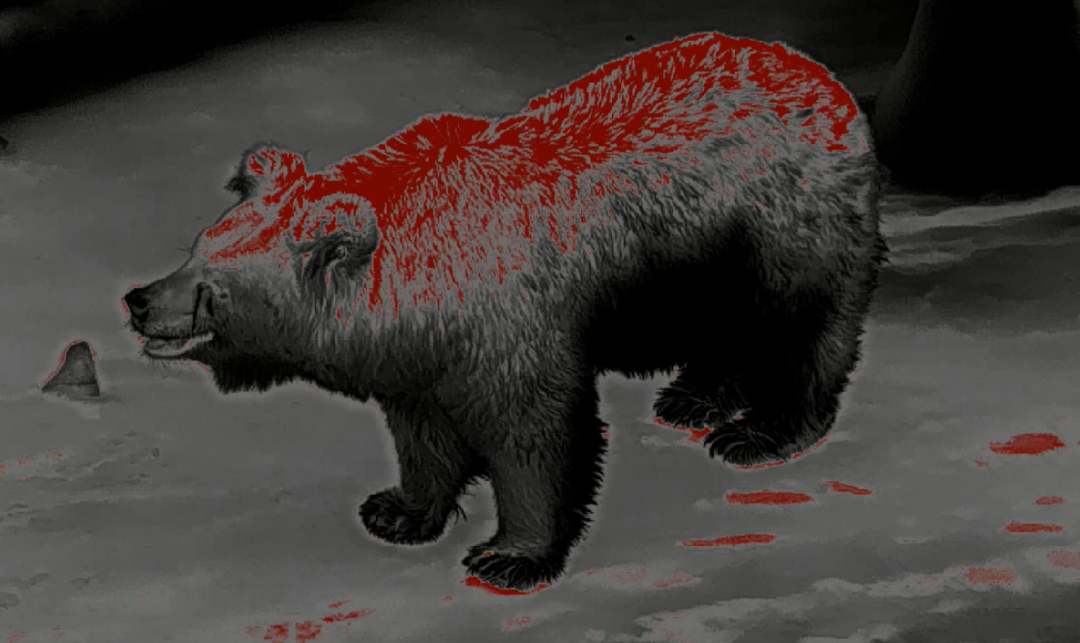 普雷德热成像镜头下的动物视角也太有趣了_产品_马群_羊群