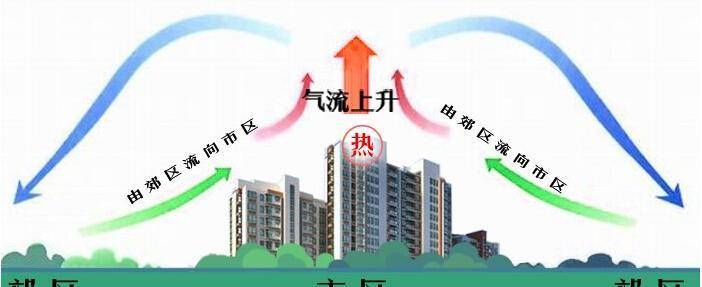 乌鸦是恒温动物,冬季天气比较冷,它们就会受到"城市热岛效应"的影响