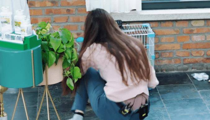 郎朗_兔子_镜头