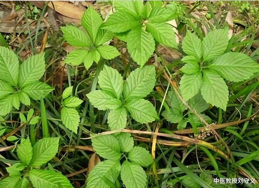 也有上腹部胀满疼痛,或在肚子上能摸到硬块,身体发黄,眼睛发黄,泛恶心