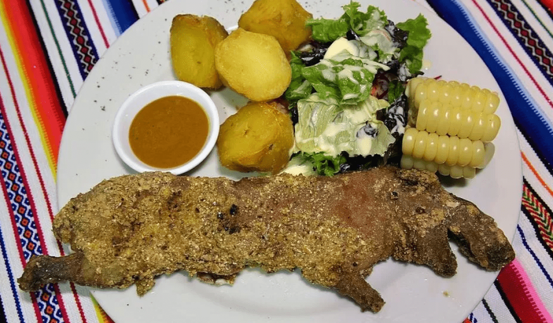 南美洲奇葩美食:荷兰猪不仅能烤着吃!还能做成冰淇淋?