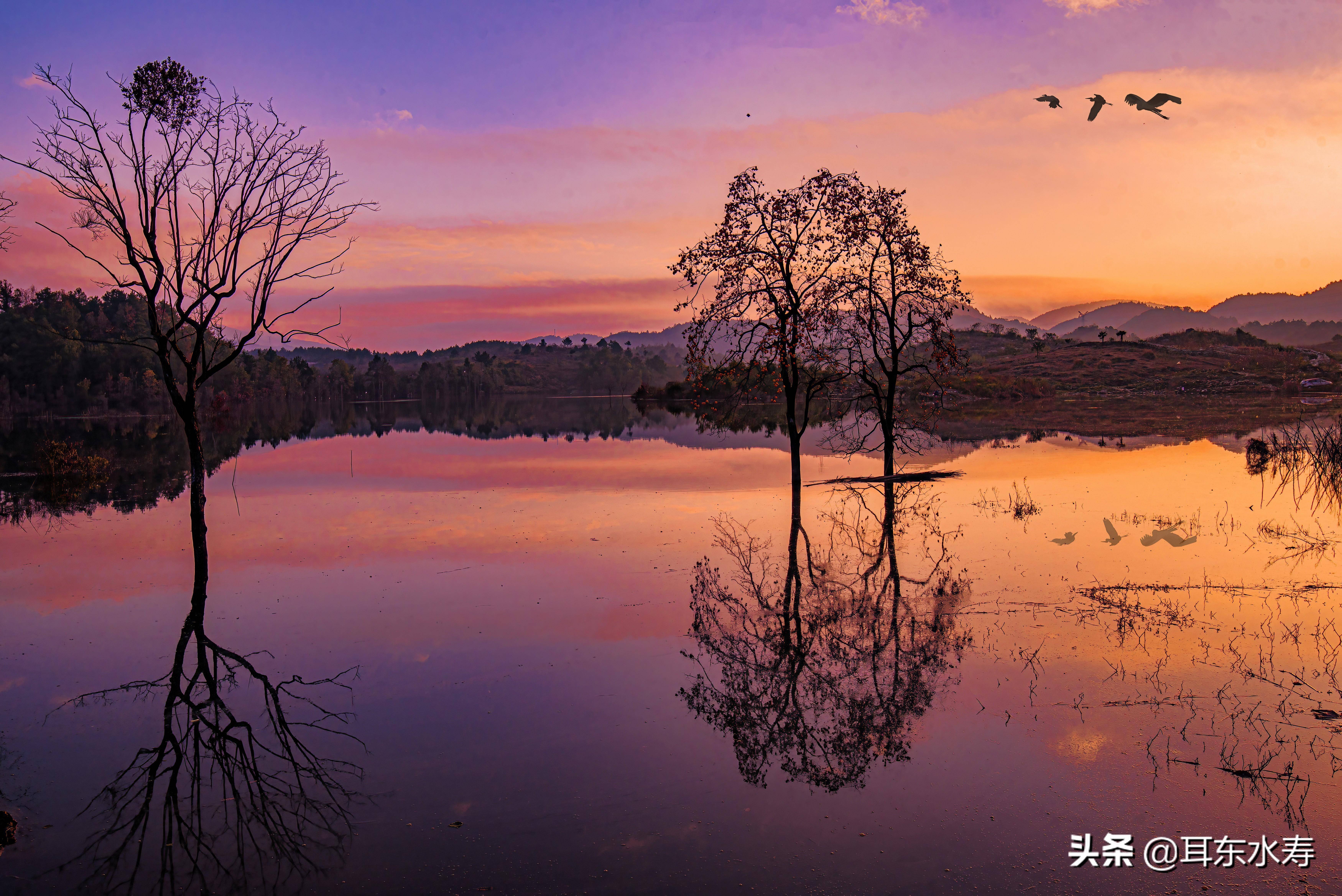 貴陽踏青哪裡去,永樂就是目的地,眾多永樂美圖首次公佈_攝影_桃花