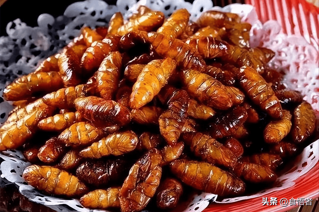 云南美食文化-蝉肴_肉馅_知了_昆虫