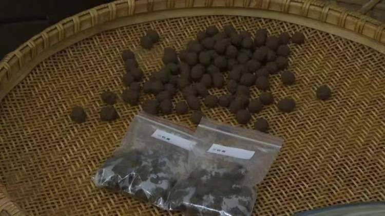 一篇读懂（药方申请非遗步骤）非物质文化遗产医药类有哪些 第5张