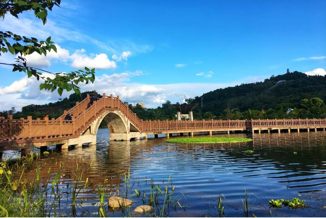 到這5個地方,看資陽早春之景_公園_陽光_景區